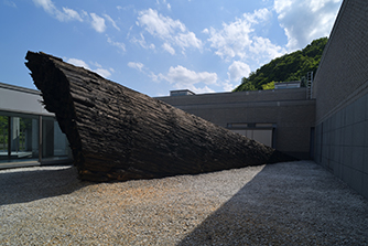 受賞作品「太陽のふね」の画像